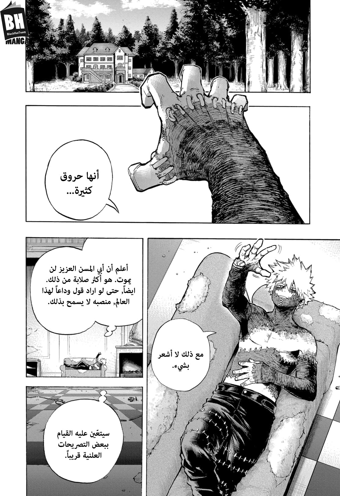 Boku no Hero Academia: Chapter 301 - Page 5