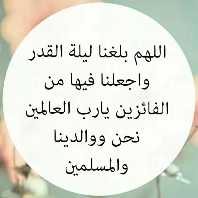 Boku no Hero Academia: Chapter 351 - Page 20