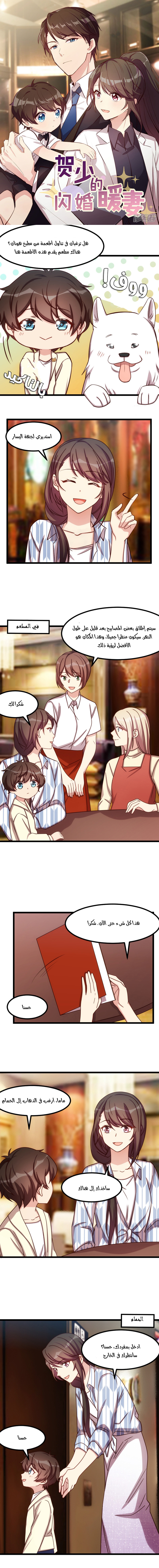 CEO's Sudden Proposal: Chapter 207 - Page 1