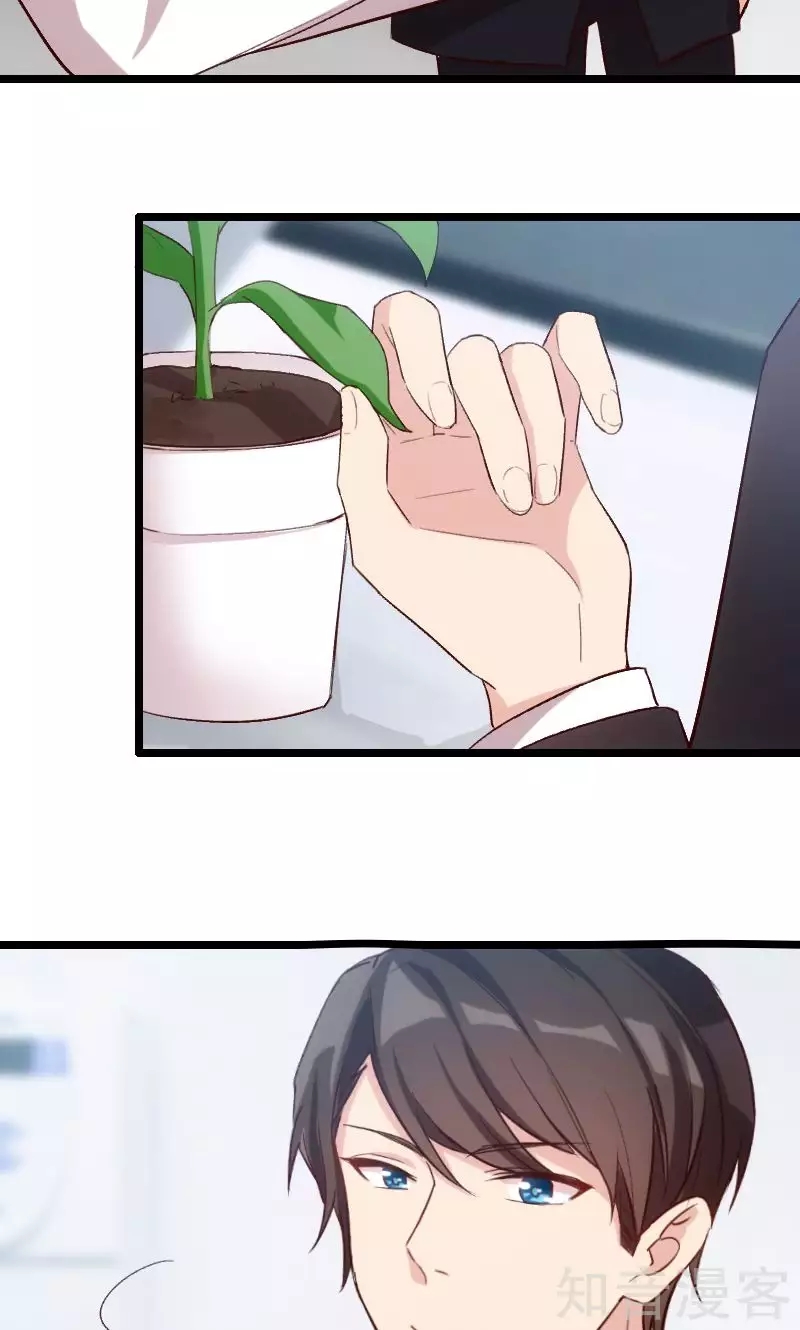 CEO's Sudden Proposal: Chapter 21 - Page 8