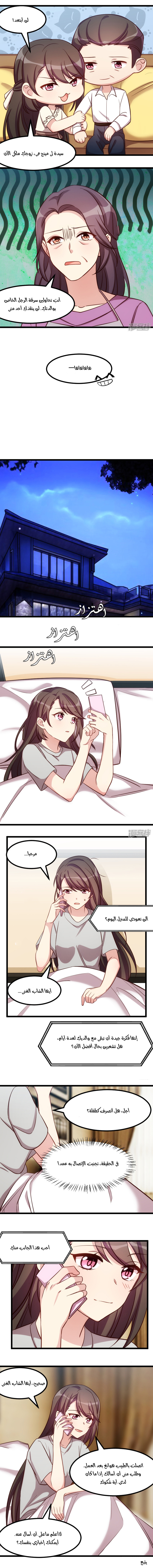 CEO's Sudden Proposal: Chapter 217 - Page 3