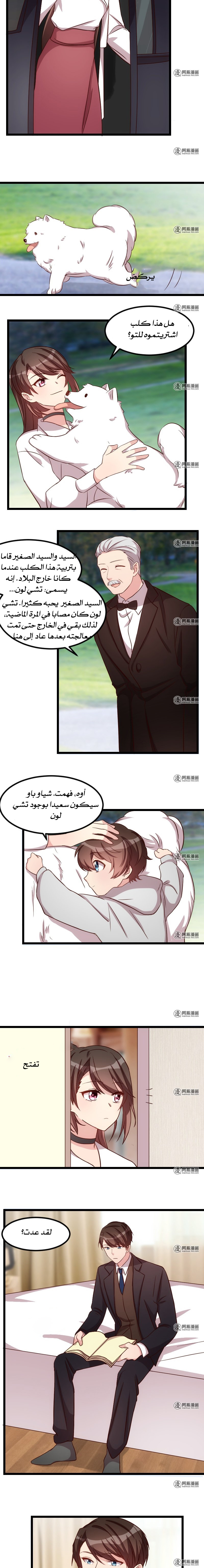 CEO's Sudden Proposal: Chapter 76 - Page 4