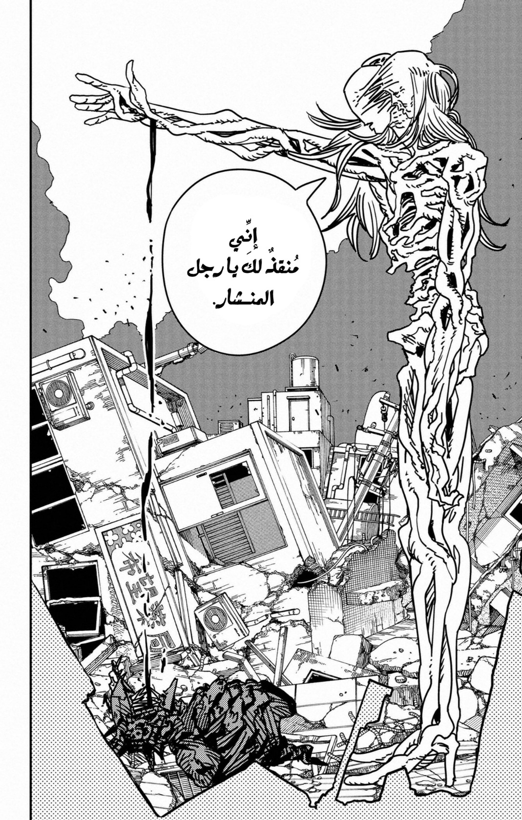 Chainsaw Man: Chapter 178 - Page 13