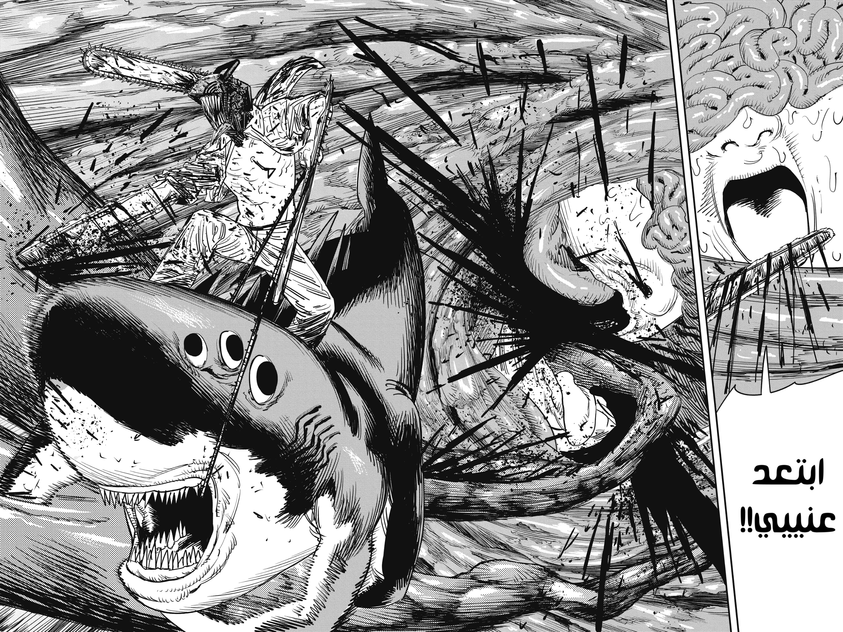 Chainsaw Man: Chapter 50 - Page 13