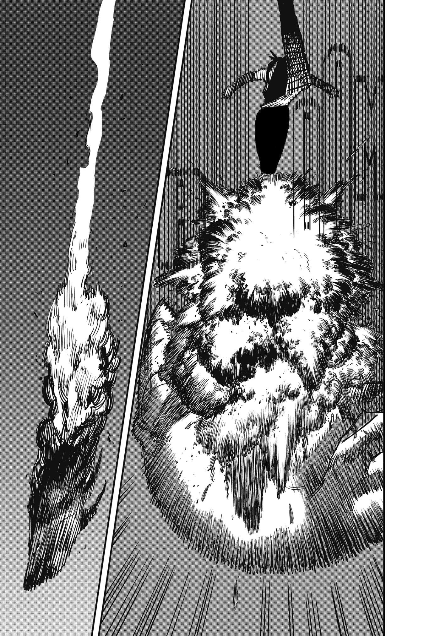 Chainsaw Man: Chapter 50 - Page 15