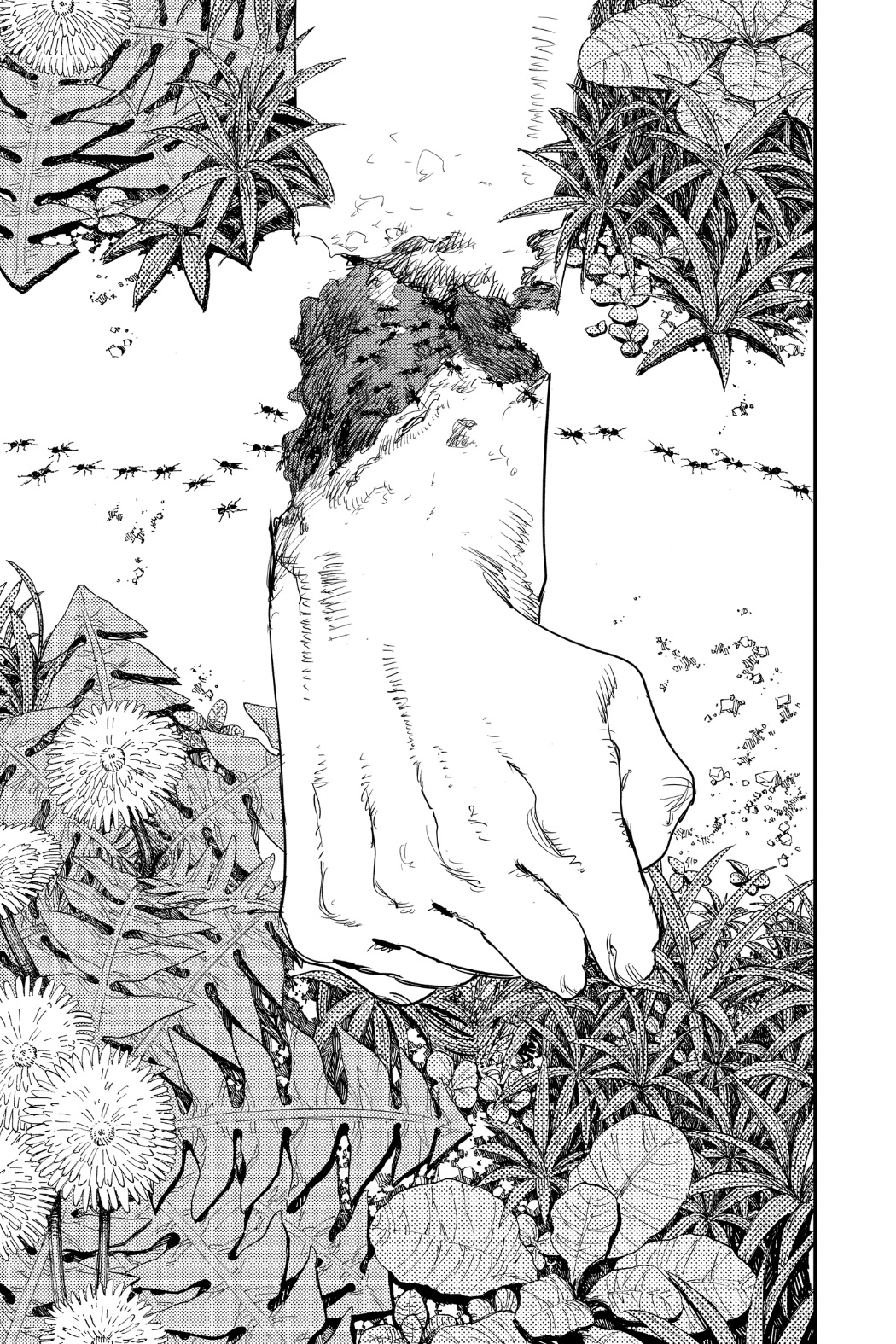 Chainsaw Man: Chapter 63 - Page 17