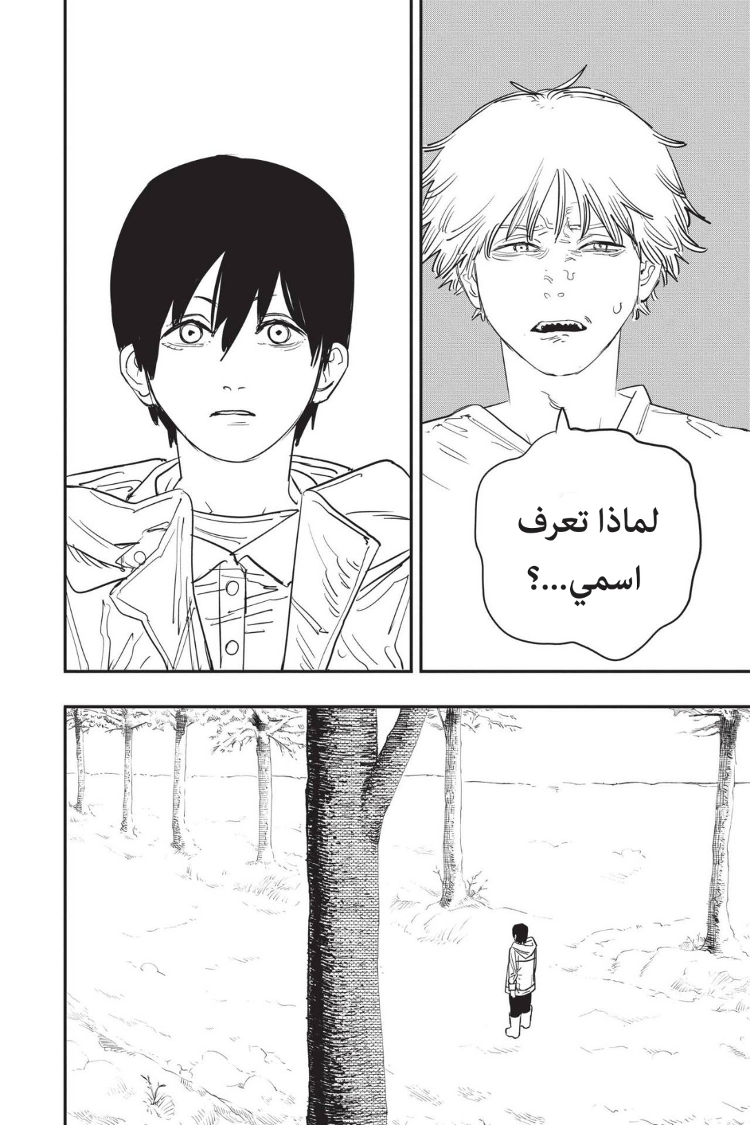 Chainsaw Man: Chapter 77 - Page 13