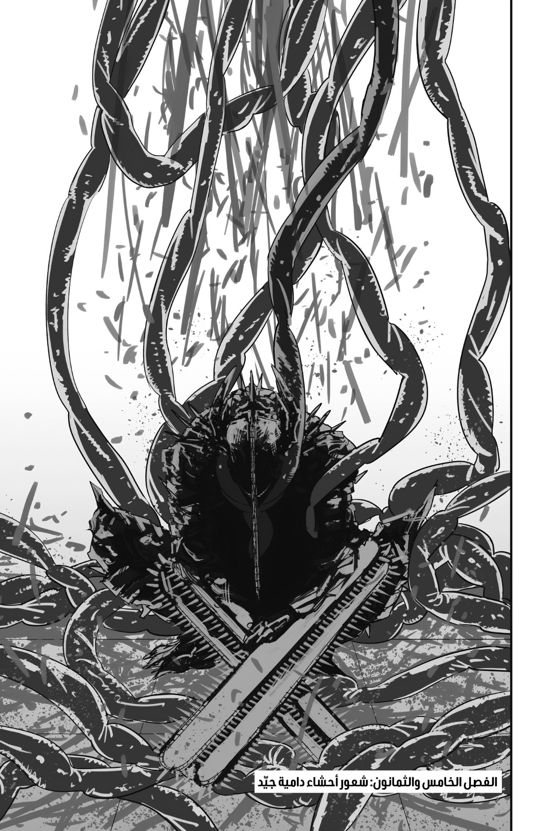 Chainsaw Man: Chapter 85 - Page 2