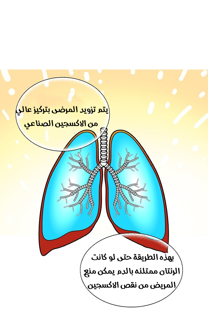 Doctor Elise: Chapter 72 - Page 8