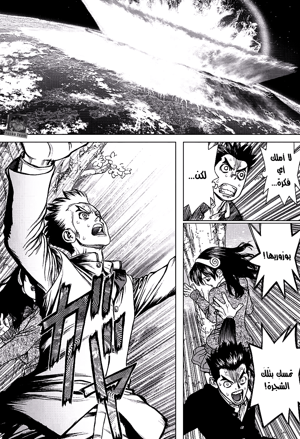 Dr. Stone: Chapter 1 - Page 12