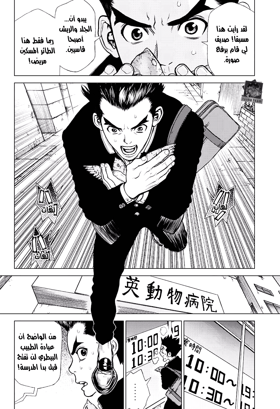 Dr. Stone: Chapter 1 - Page 21