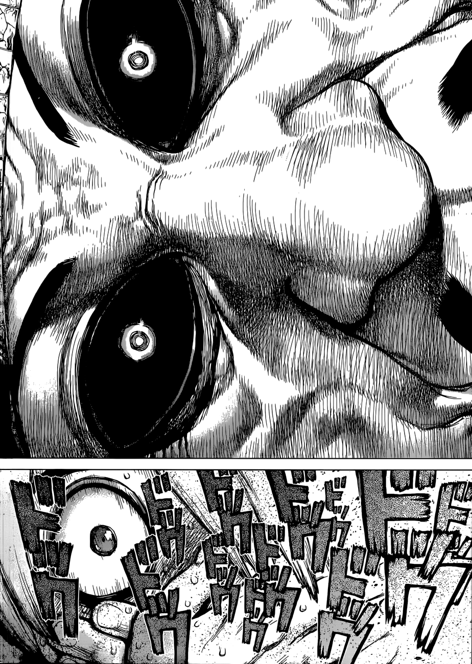 Dr. Stone: Chapter 108 - Page 15