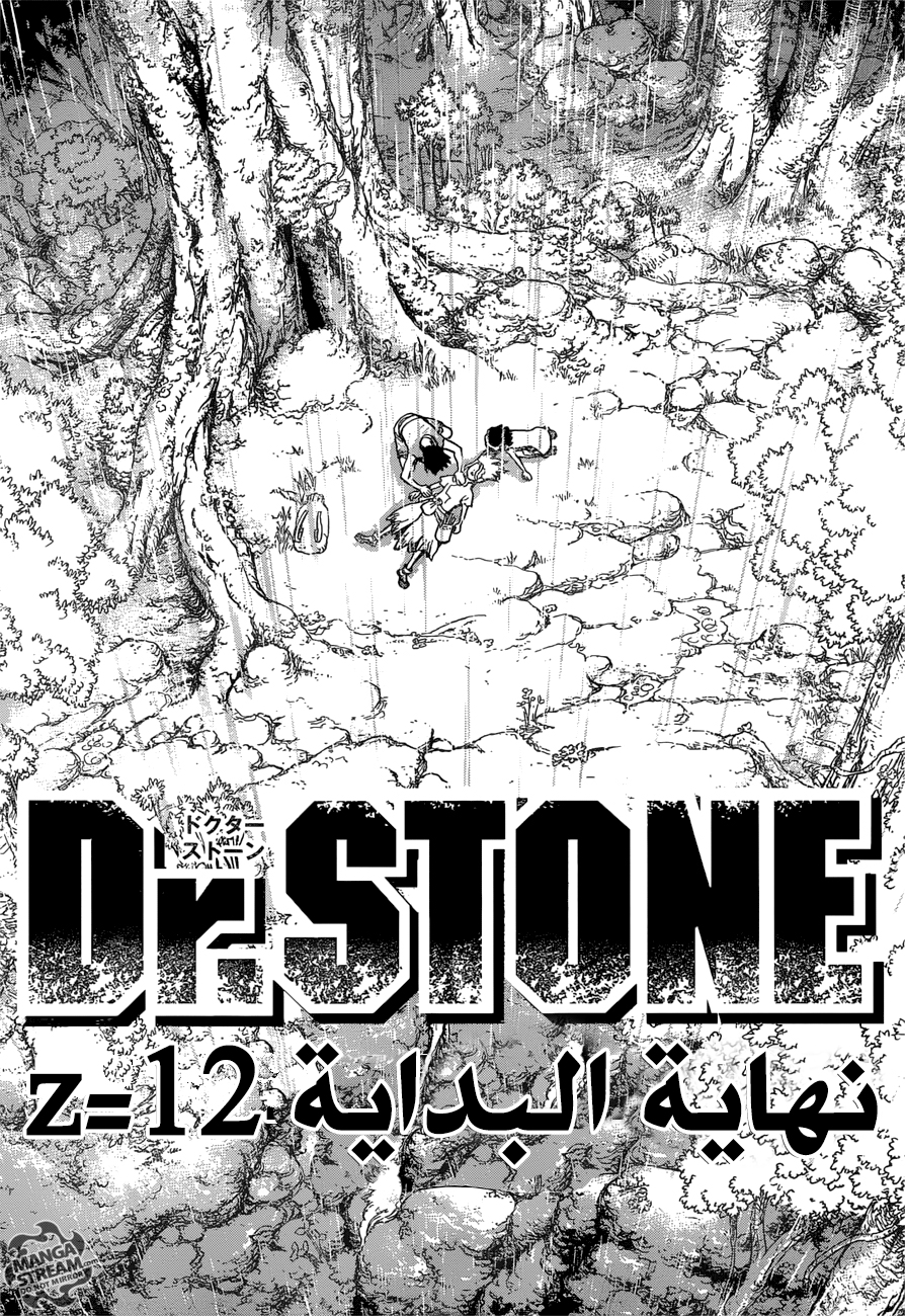 Dr. Stone: Chapter 12 - Page 17