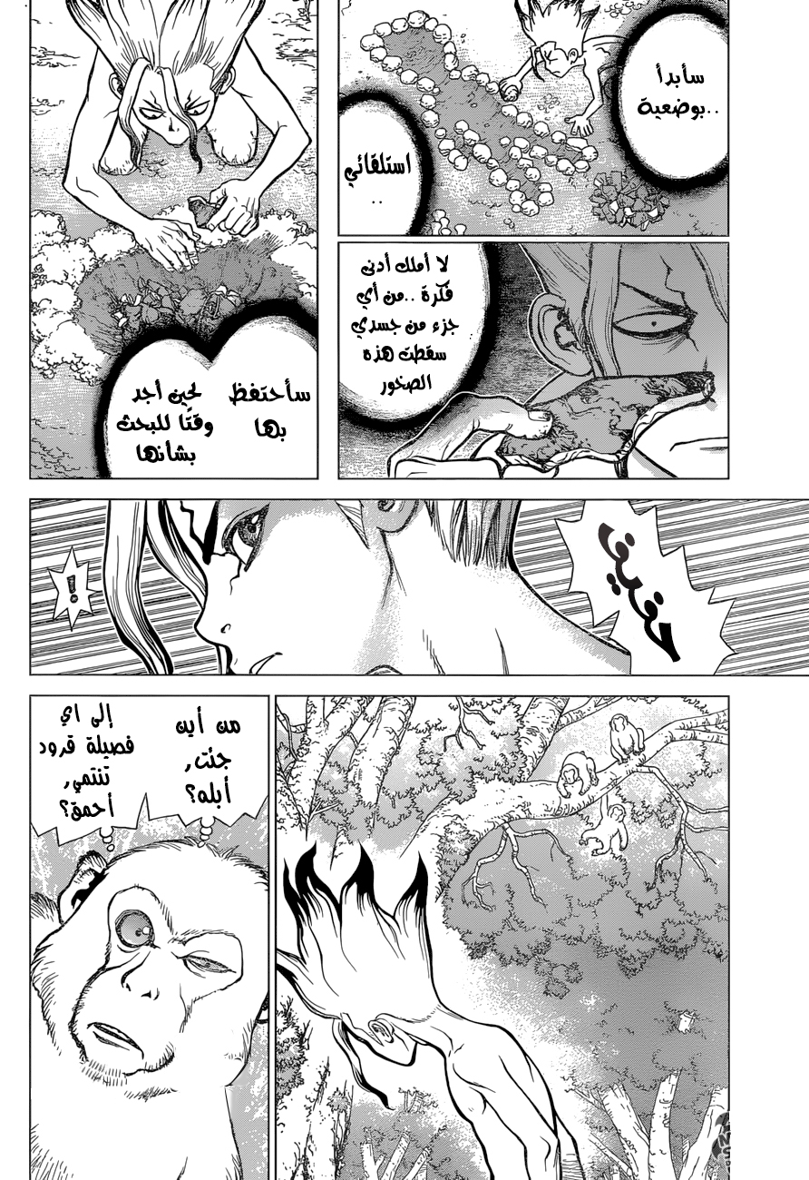 Dr. Stone: Chapter 13 - Page 5