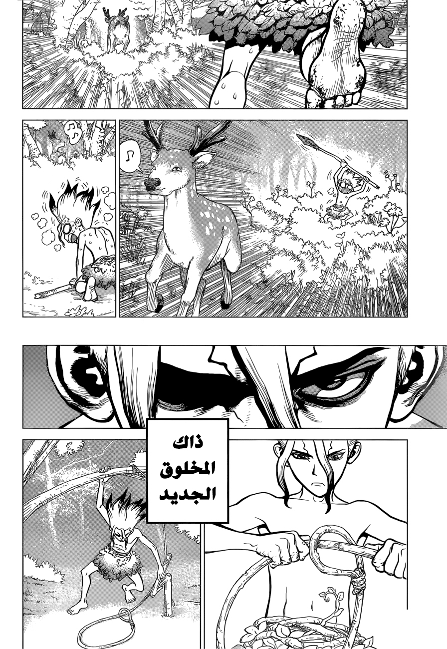 Dr. Stone: Chapter 13 - Page 17