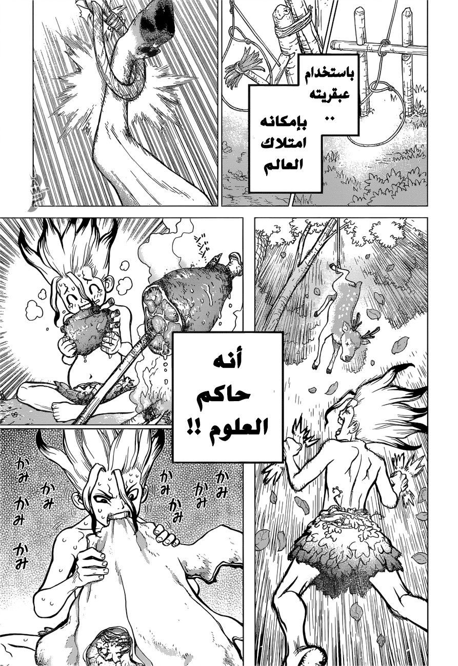 Dr. Stone: Chapter 13 - Page 18