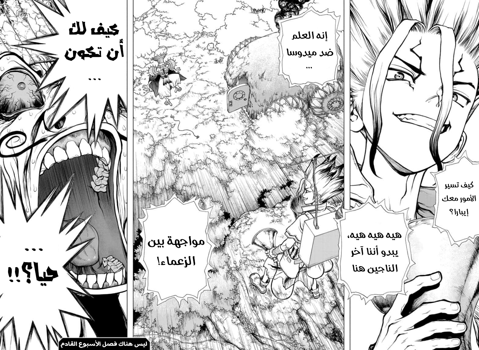 Dr. Stone: Chapter 134 - Page 17