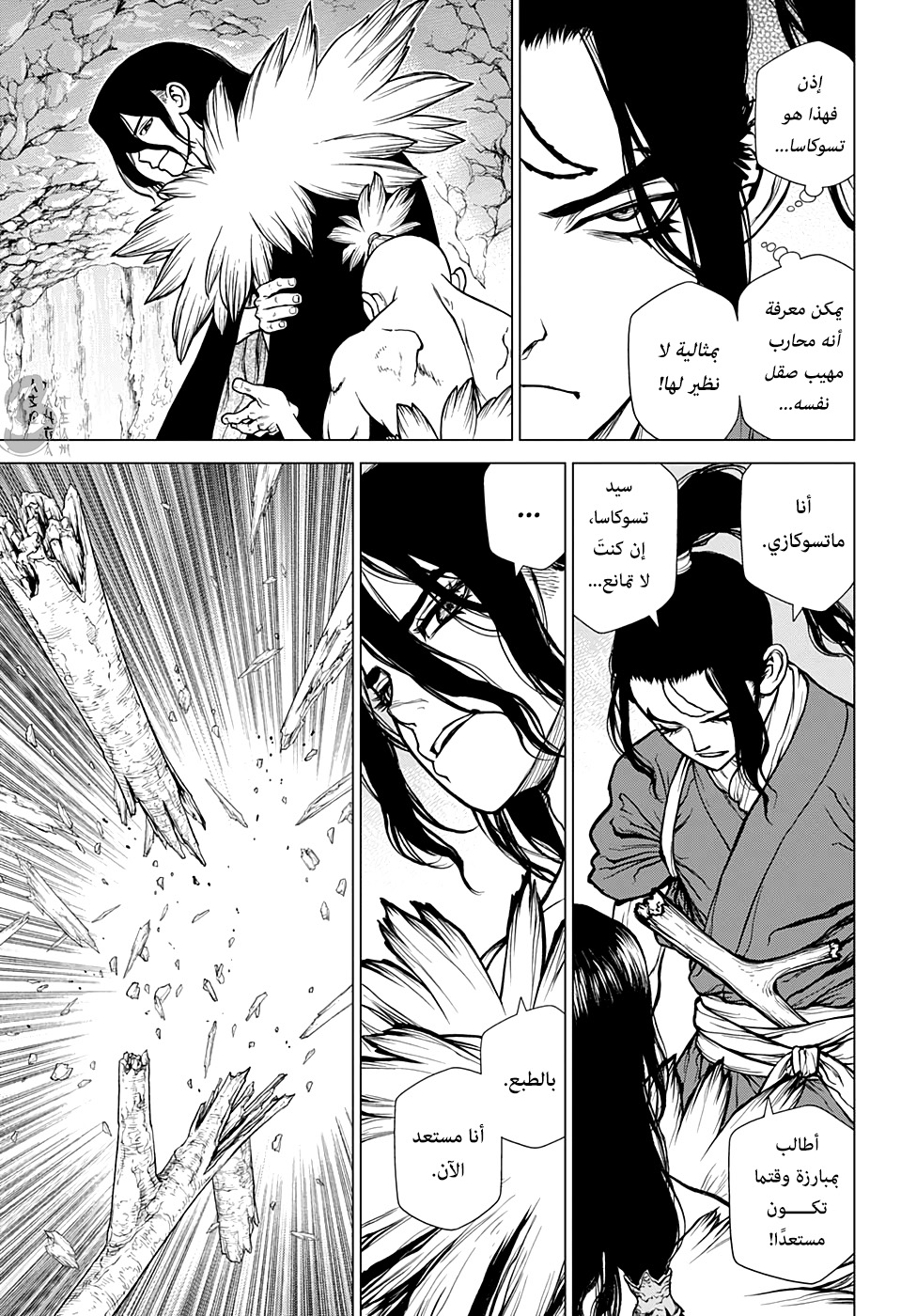 Dr. Stone: Chapter 141 - Page 15