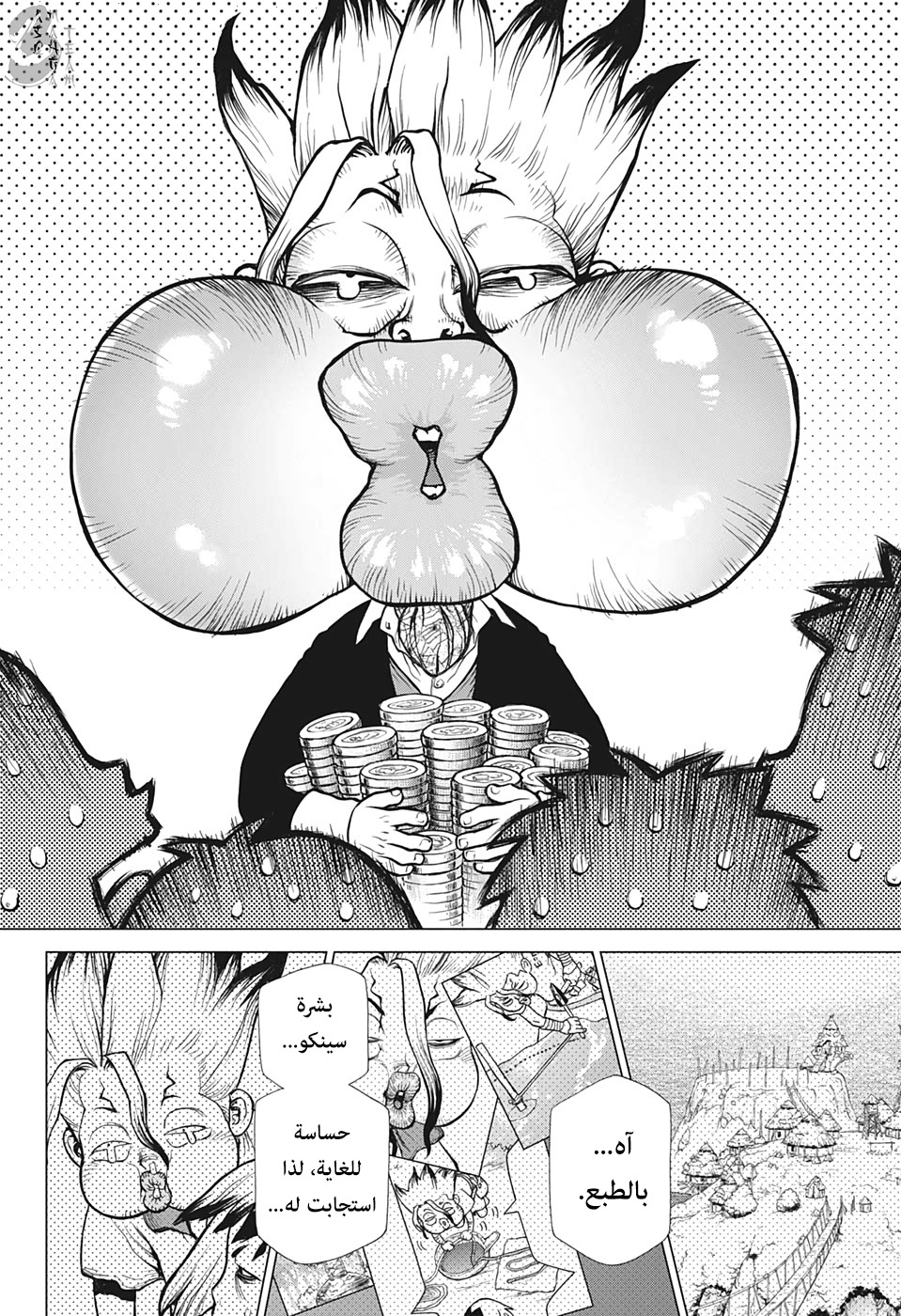 Dr. Stone: Chapter 144 - Page 19