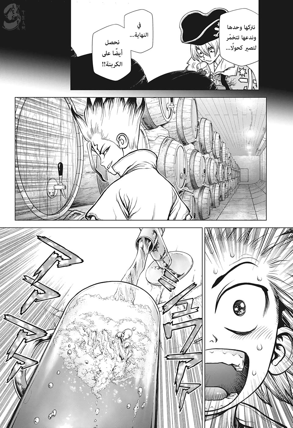 Dr. Stone: Chapter 146 - Page 5