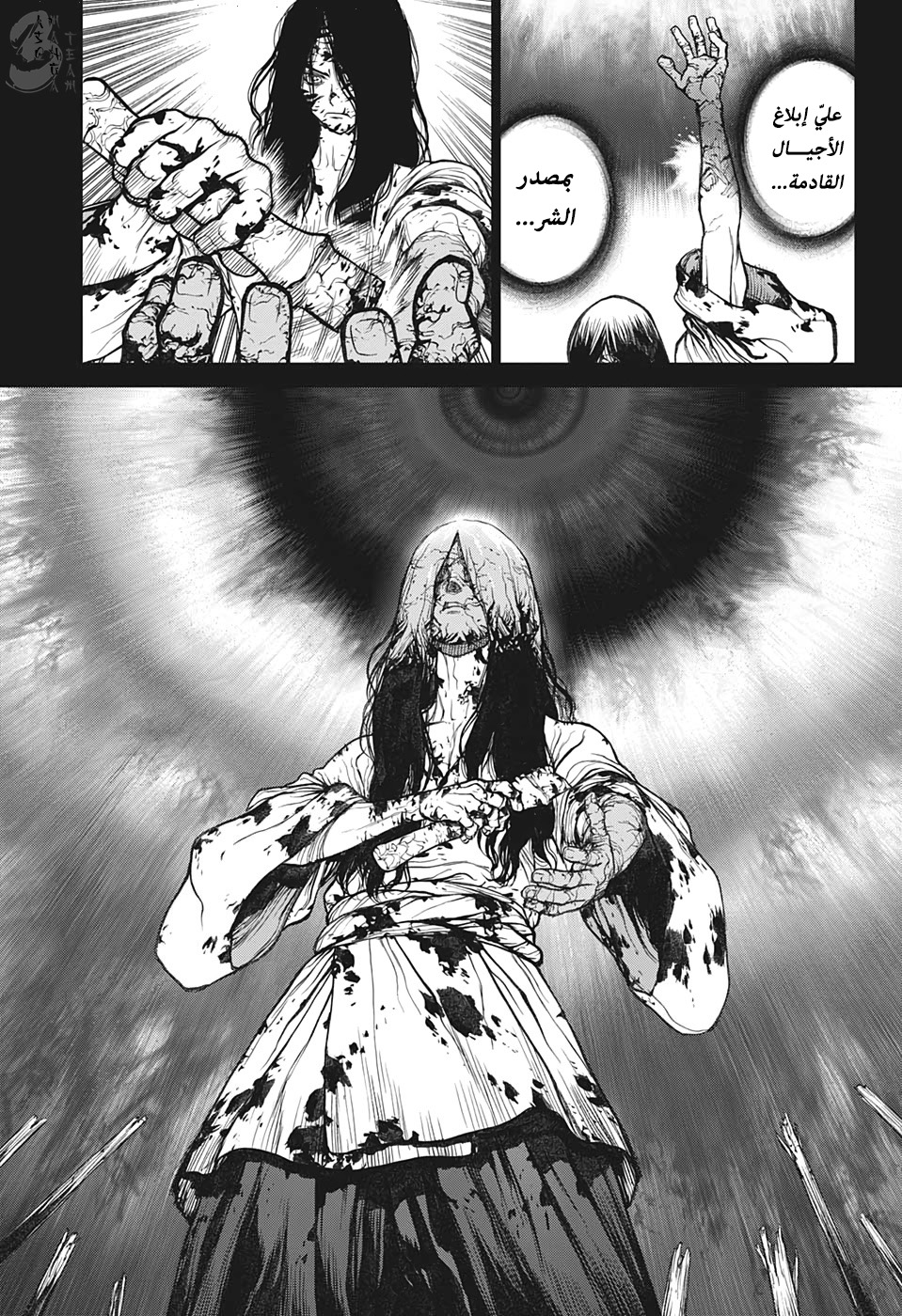 Dr. Stone: Chapter 146 - Page 12