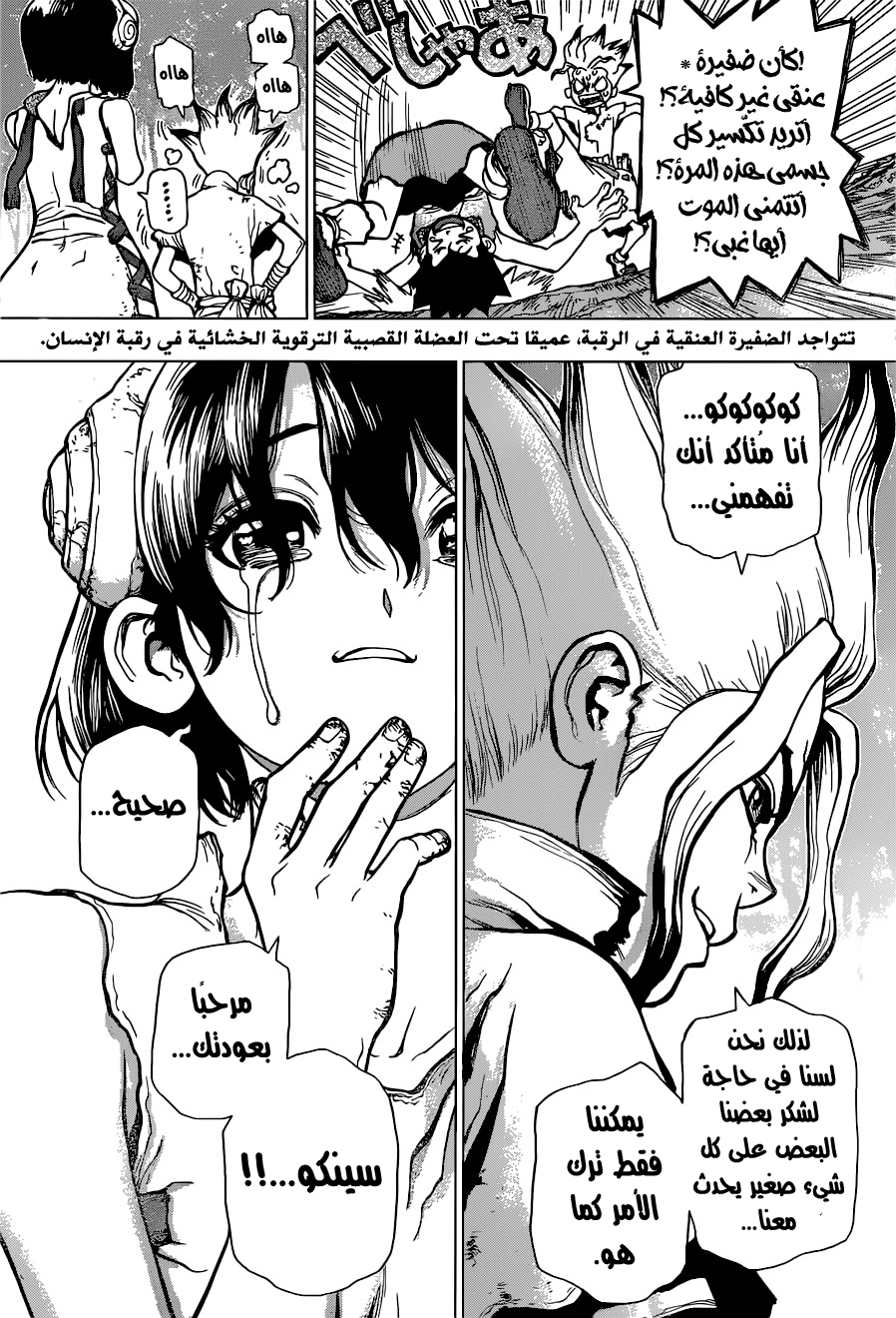 Dr. Stone: Chapter 15 - Page 6