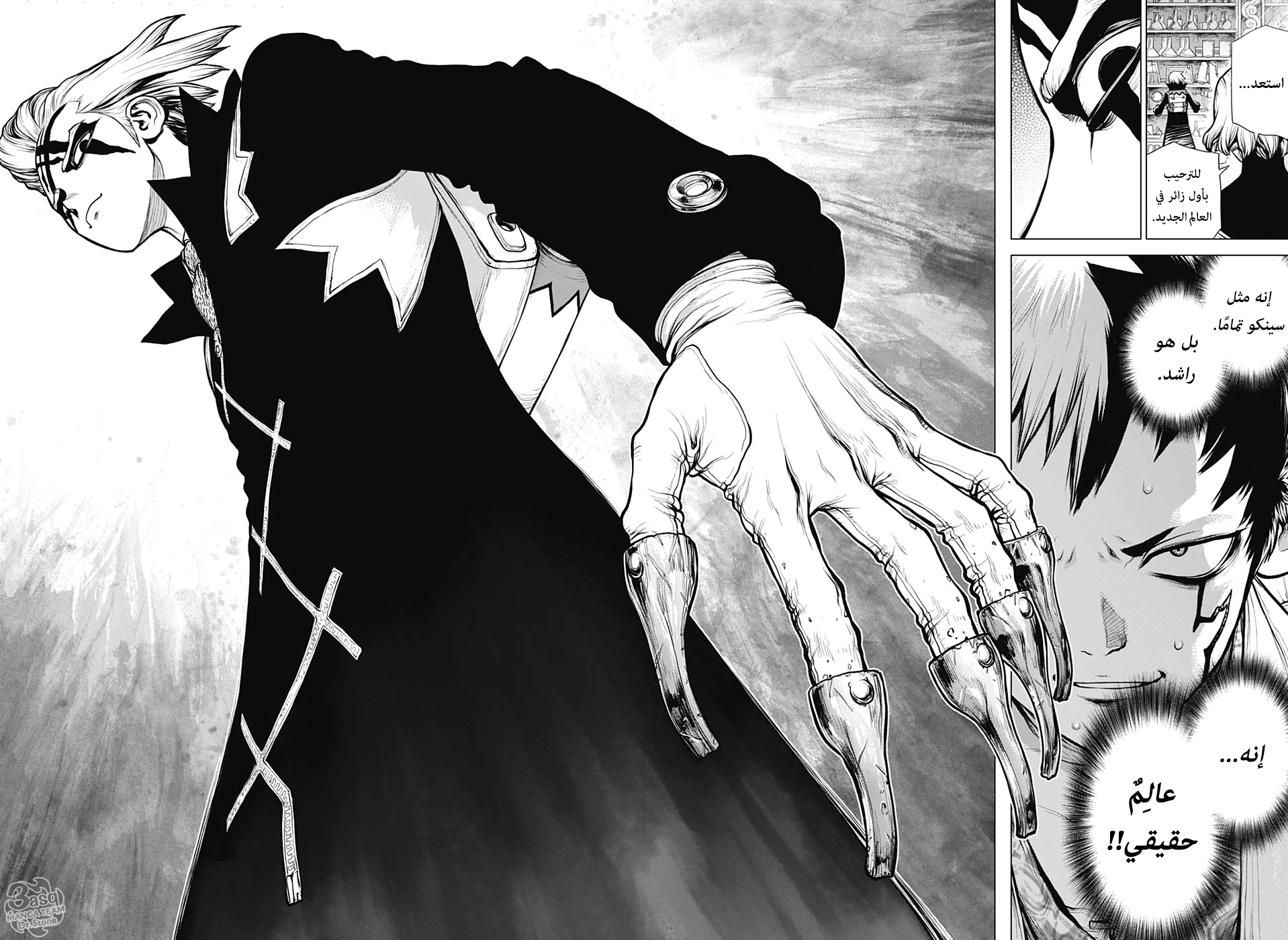 Dr. Stone: Chapter 151 - Page 11