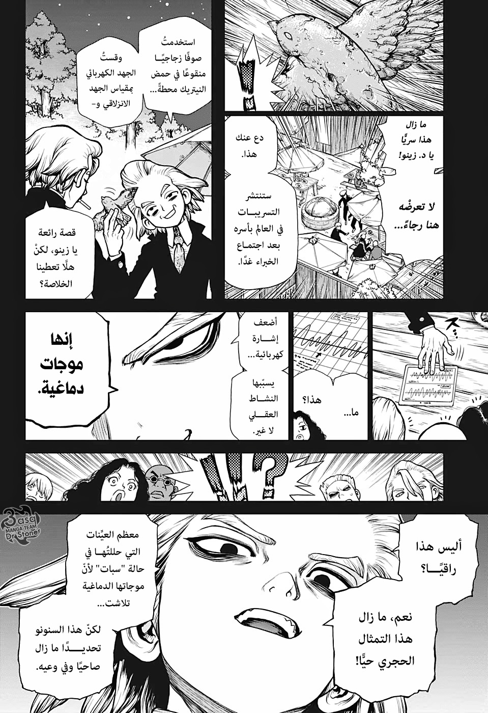 Dr. Stone: Chapter 157 - Page 8