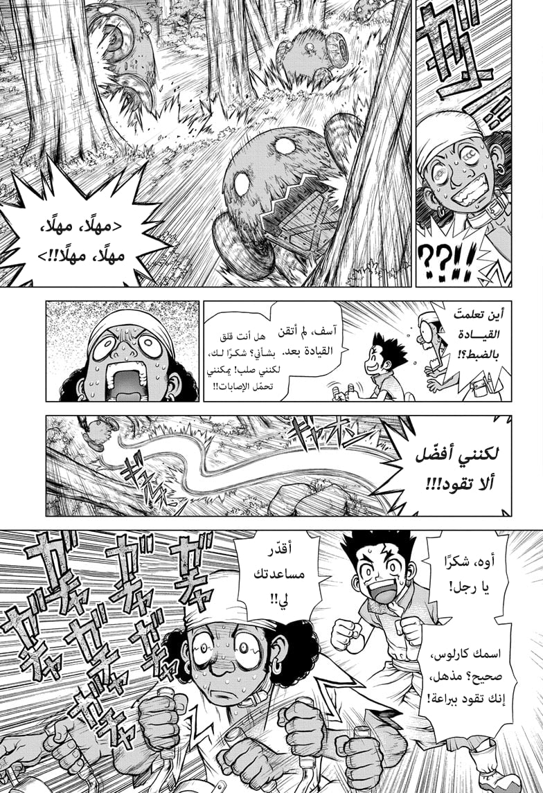 Dr. Stone: Chapter 162 - Page 14