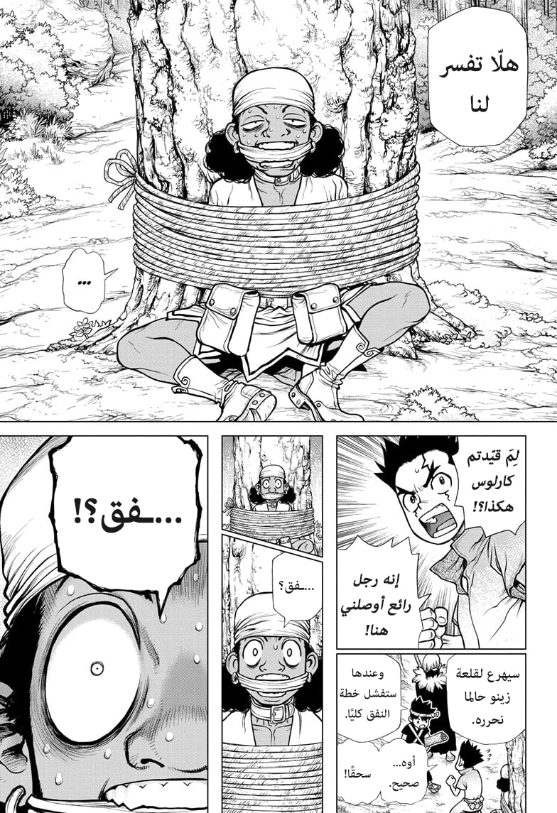 Dr. Stone: Chapter 162 - Page 16