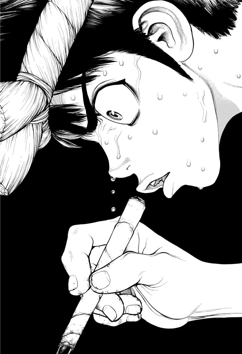 Dr. Stone: Chapter 162 - Page 19