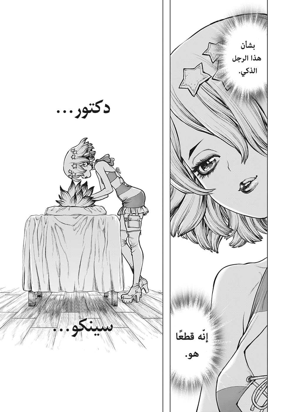 Dr. Stone: Chapter 163 - Page 4