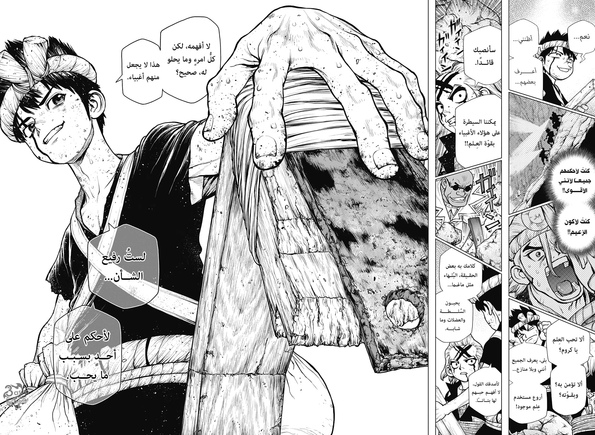 Dr. Stone: Chapter 167 - Page 14