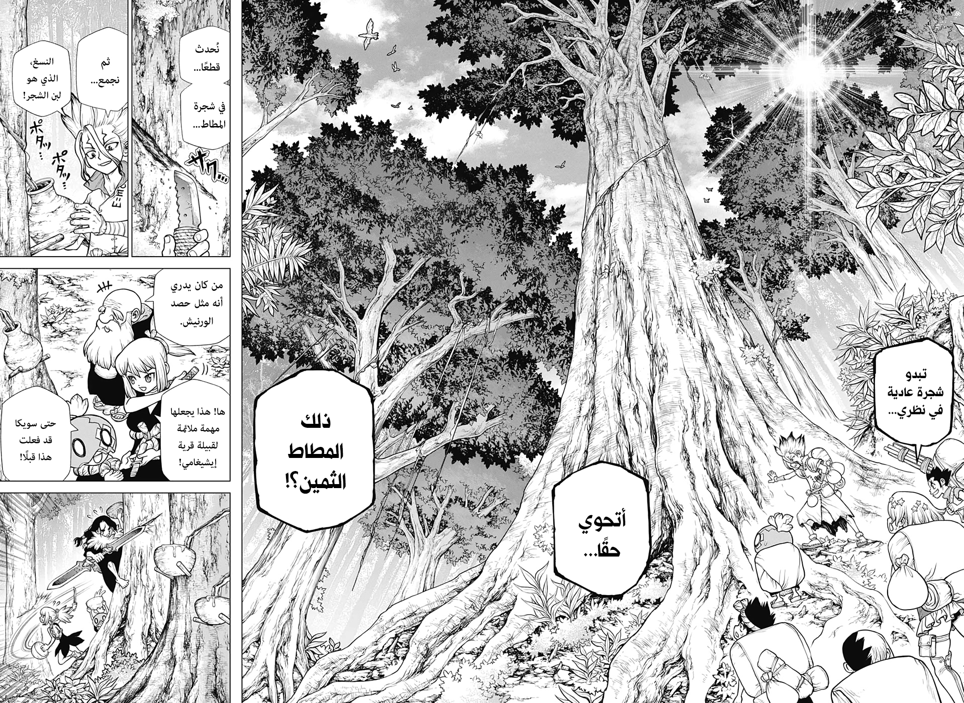 Dr. Stone: Chapter 174 - Page 12