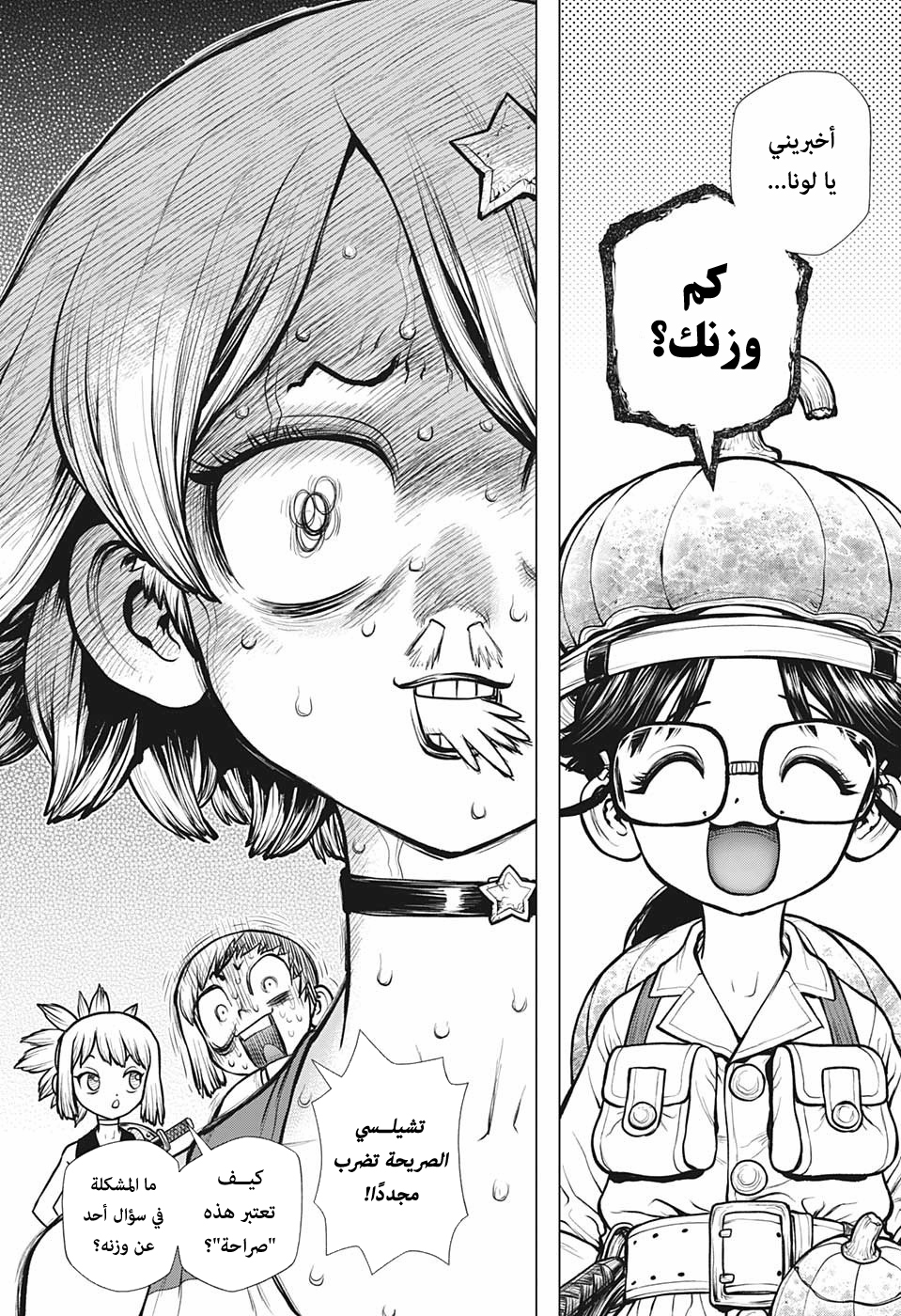 Dr. Stone: Chapter 178 - Page 11