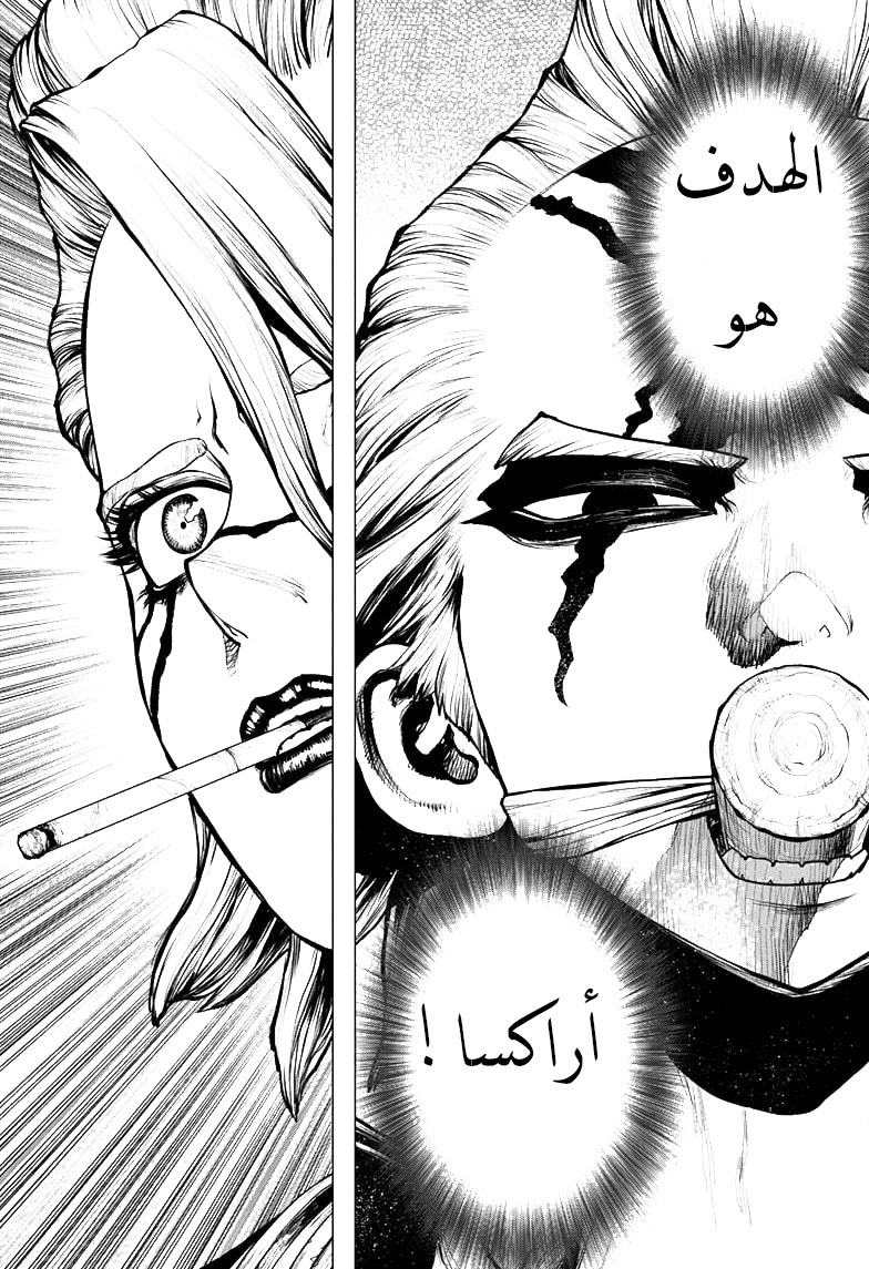 Dr. Stone: Chapter 183 - Page 12