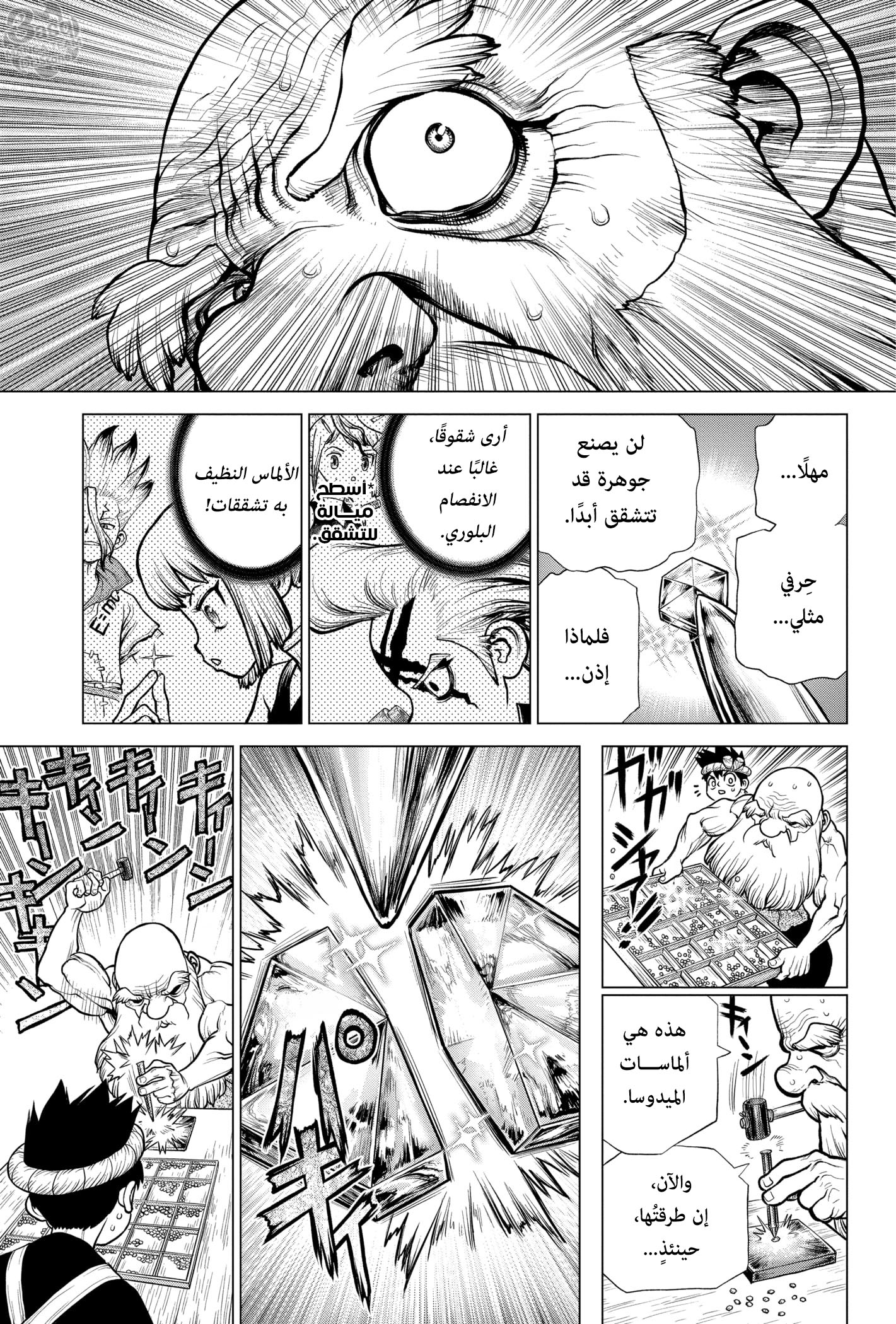 Dr. Stone: Chapter 185 - Page 8