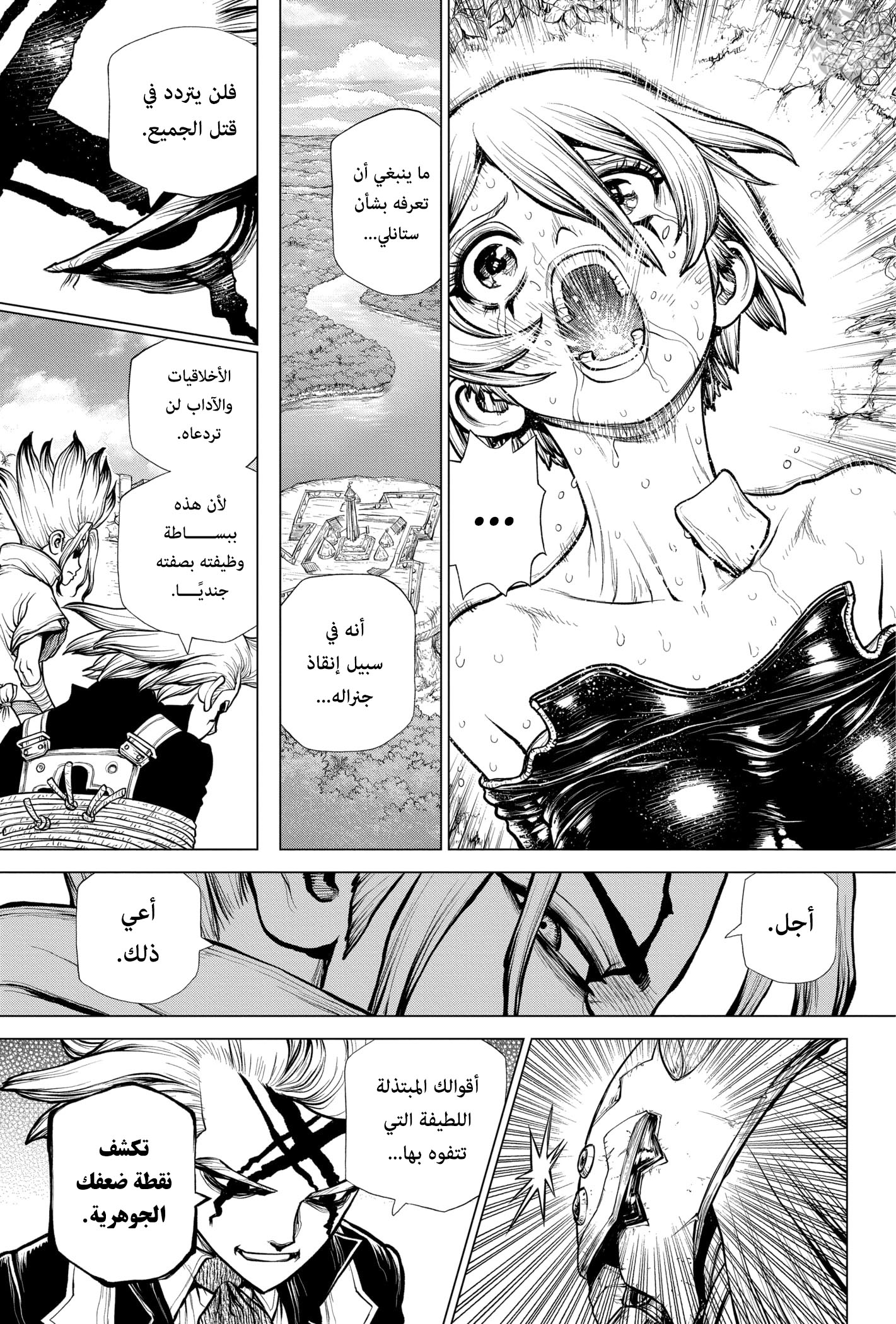 Dr. Stone: Chapter 185 - Page 17