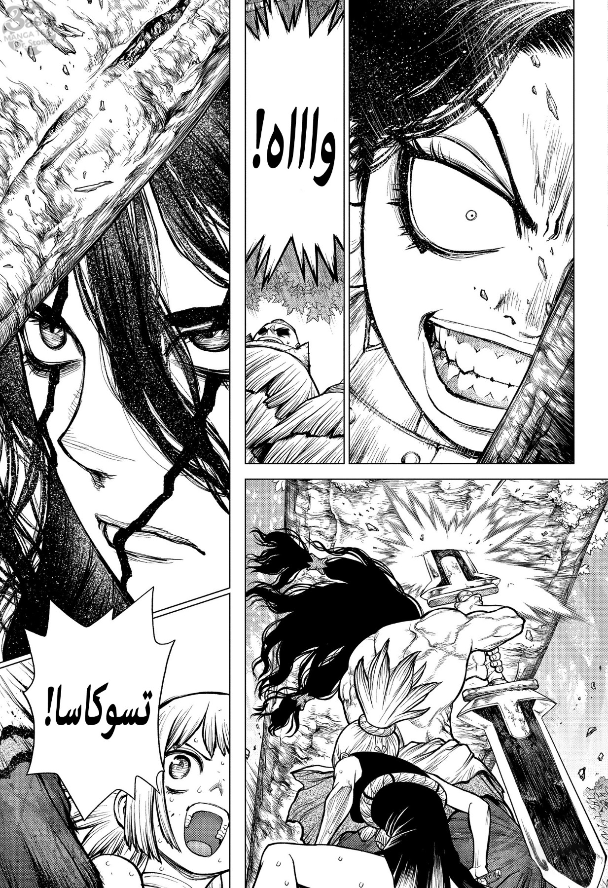 Dr. Stone: Chapter 188 - Page 6