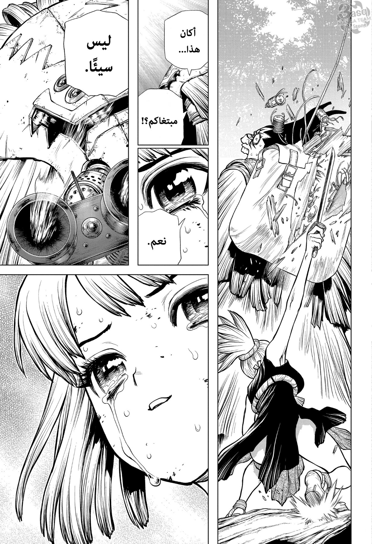 Dr. Stone: Chapter 188 - Page 13