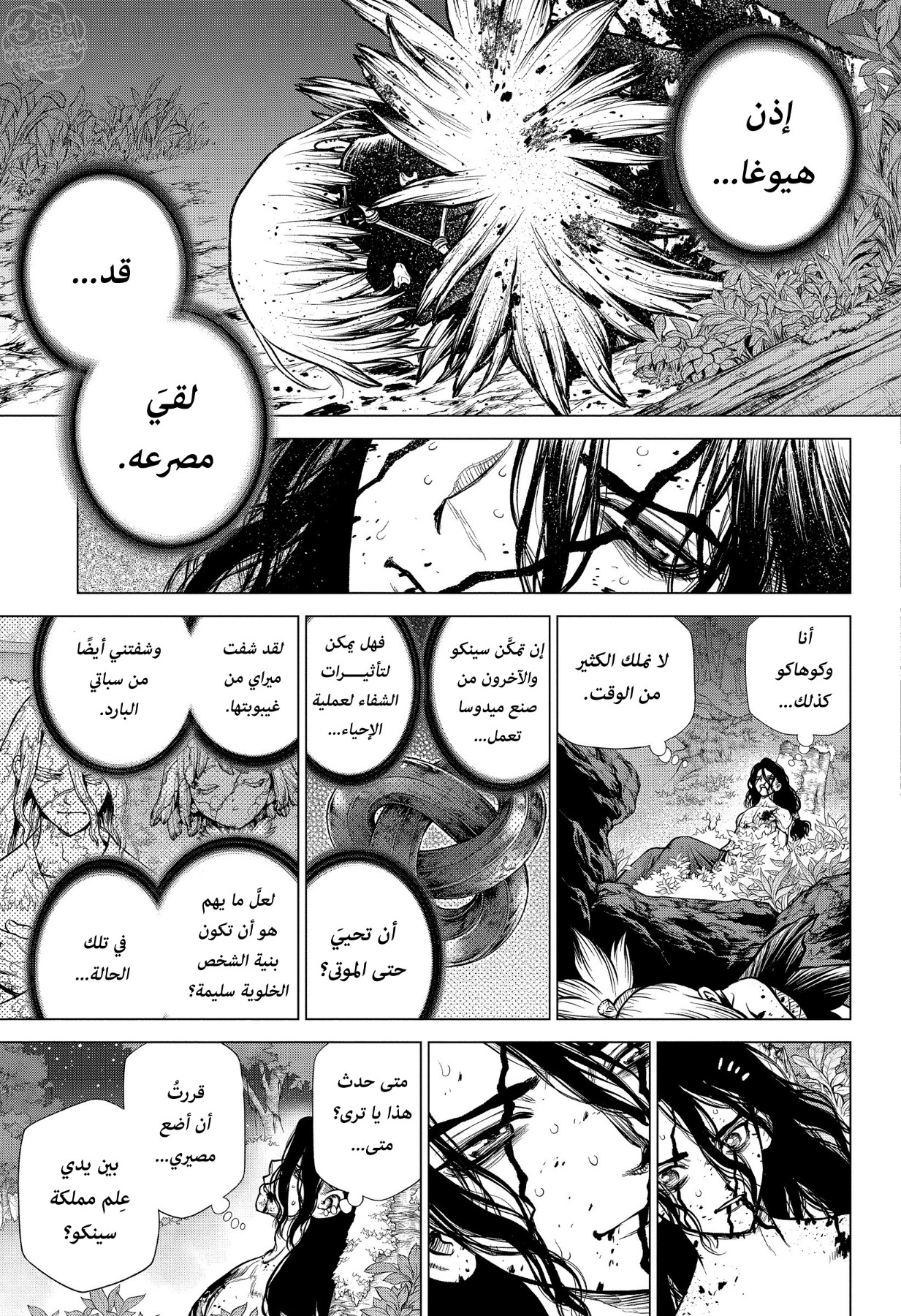 Dr. Stone: Chapter 188 - Page 15