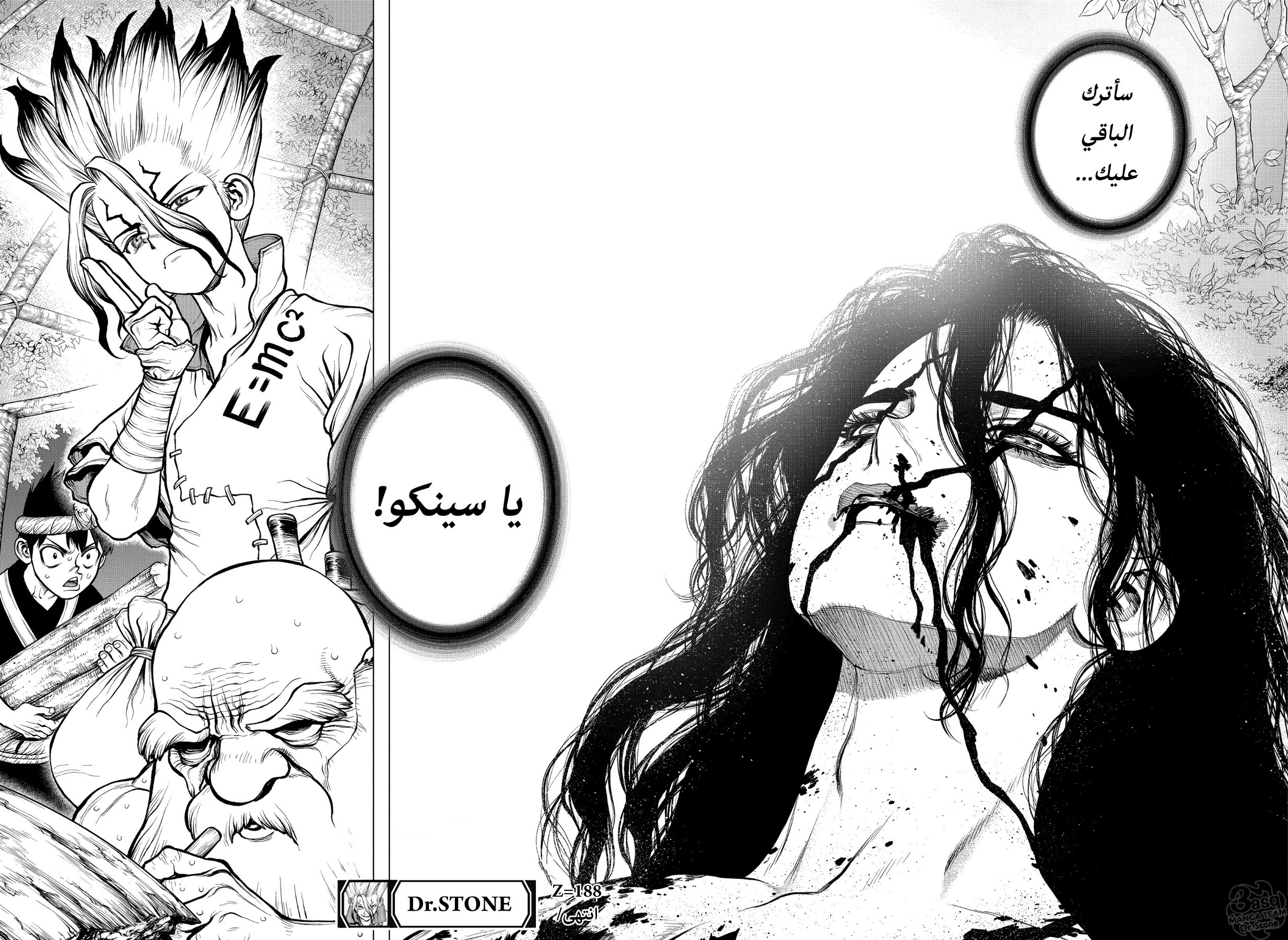 Dr. Stone: Chapter 188 - Page 17