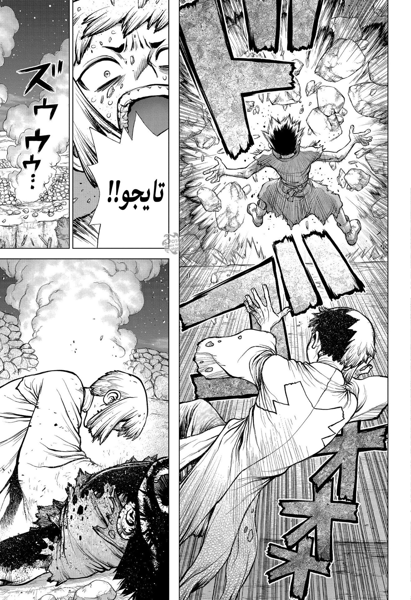 Dr. Stone: Chapter 189 - Page 14