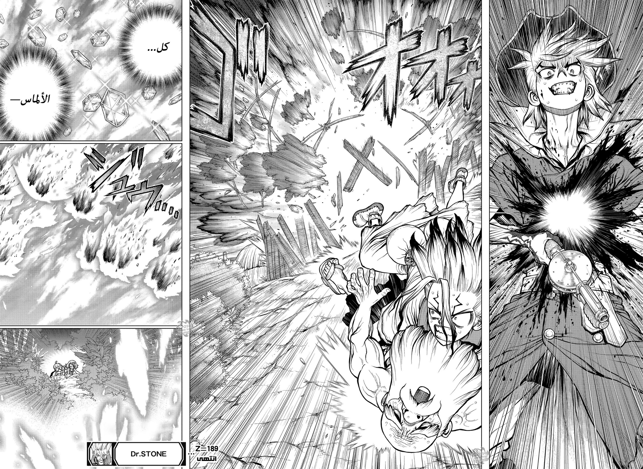 Dr. Stone: Chapter 189 - Page 19