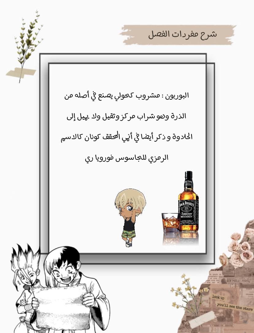 Dr. Stone: Chapter 191 - Page 17