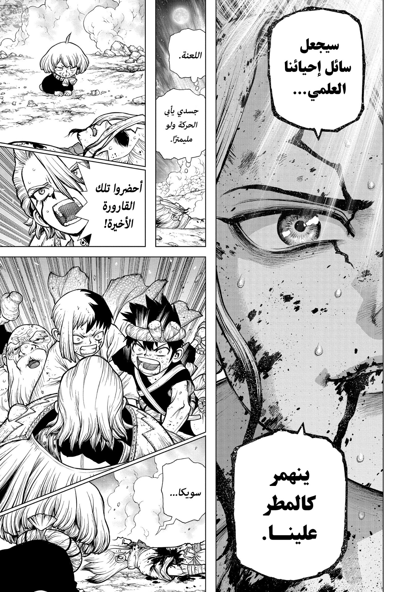 Dr. Stone: Chapter 192 - Page 15