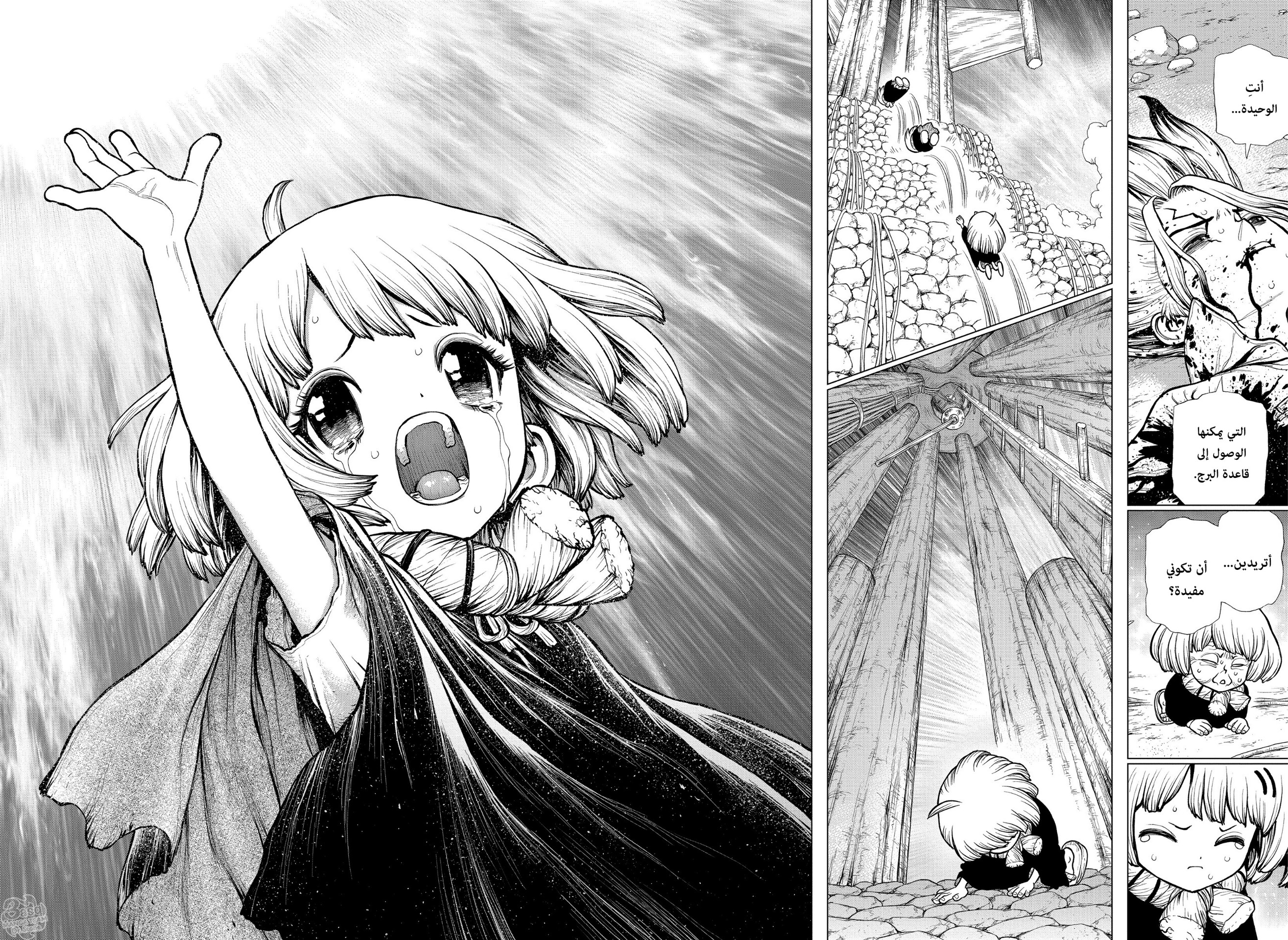 Dr. Stone: Chapter 192 - Page 16