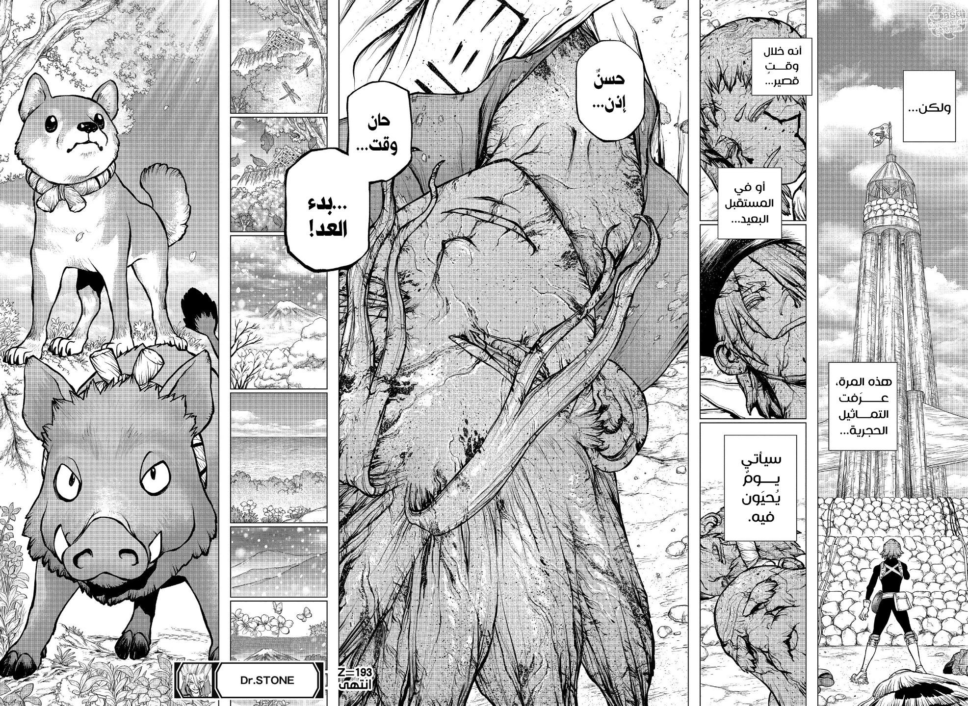 Dr. Stone: Chapter 193 - Page 17