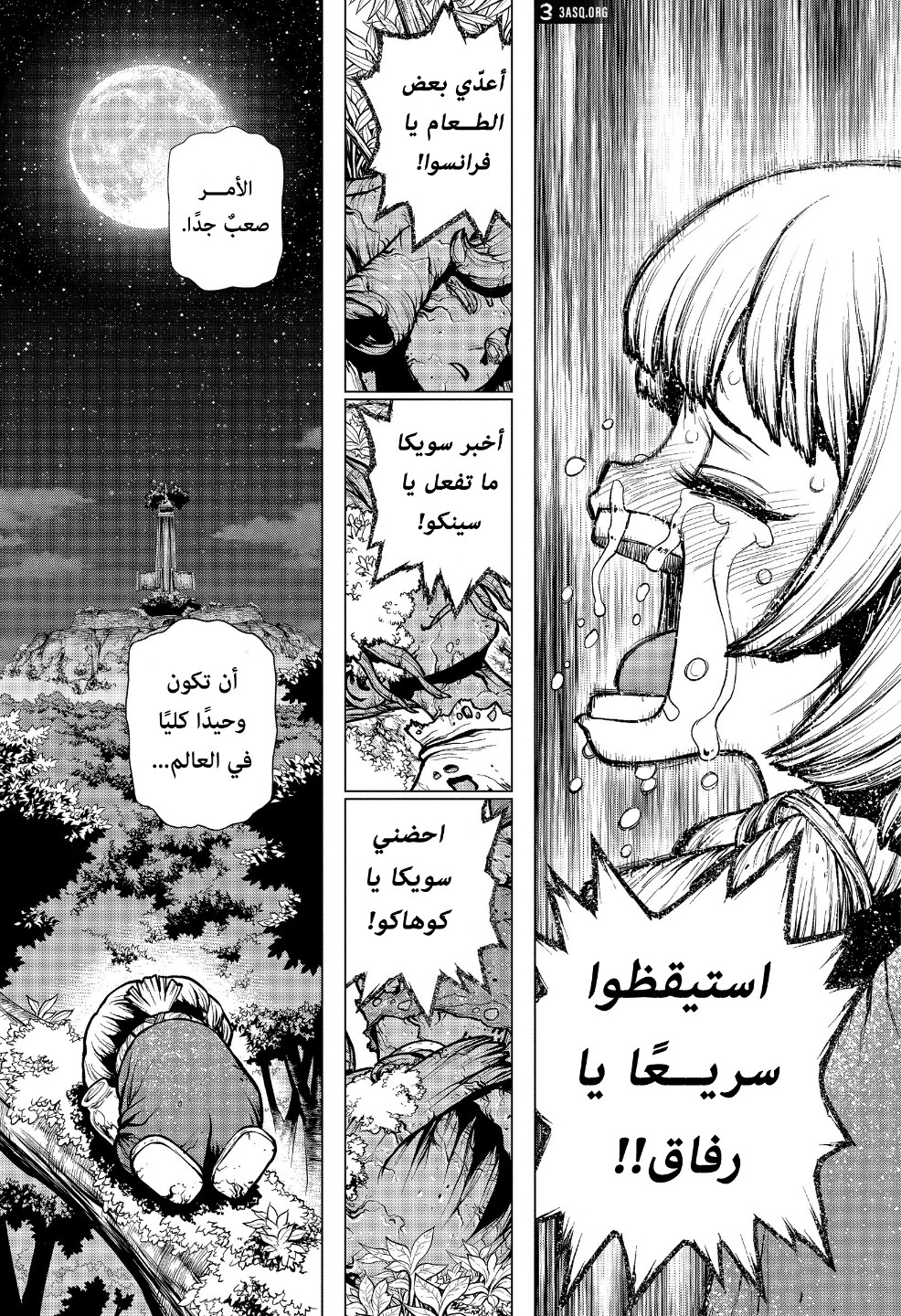 Dr. Stone: Chapter 194 - Page 14