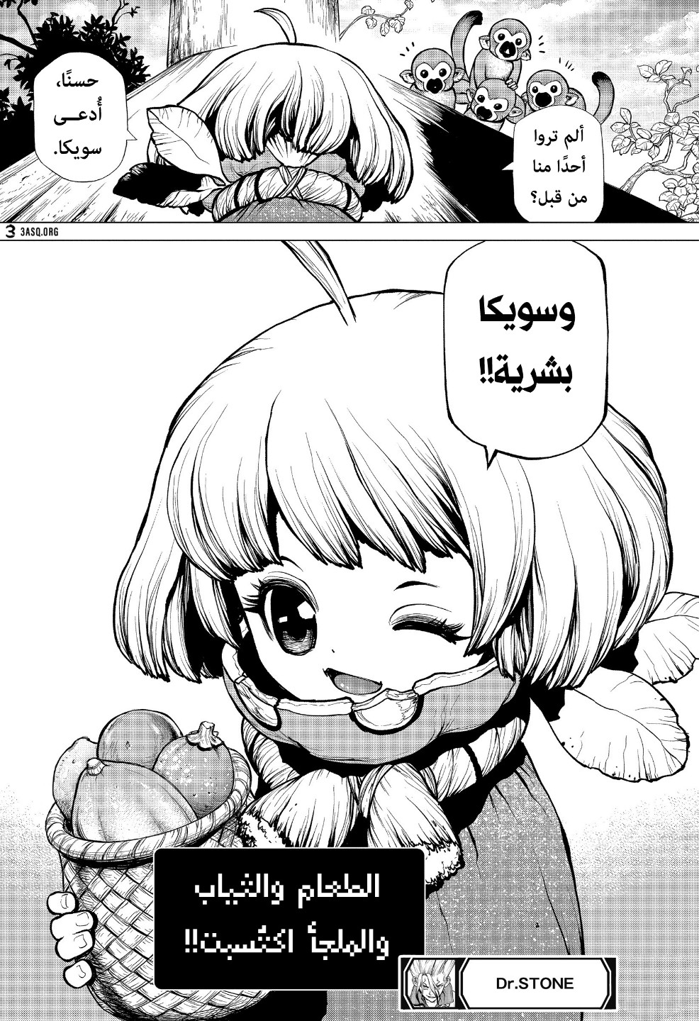 Dr. Stone: Chapter 194 - Page 19